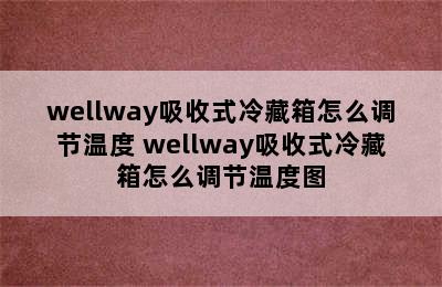 wellway吸收式冷藏箱怎么调节温度 wellway吸收式冷藏箱怎么调节温度图